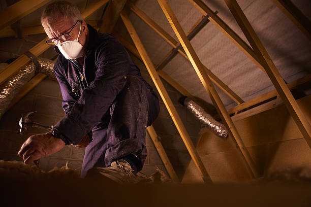 Types of Insulation We Offer in North Lakeville, MA